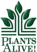 (c) Plants-alive.com